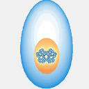 mitchellscience.net