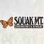 squakmtnursery.com