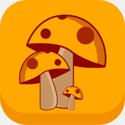 pimpedupstuff.com