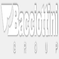 bacciottinigroup.eu