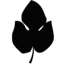 figleafdata.com