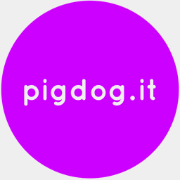 pigdogandtheshotwinders.com