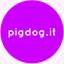 pigdogandtheshotwinders.com