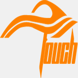 professionaltouchautodetailingms.com