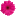 mankatofloral.com