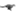 apicalsecurity.com