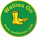 wellieson.com