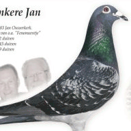 dutchboyfurniture.com