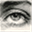 stevensebring.com