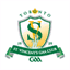 stvincentsgaatoronto.com