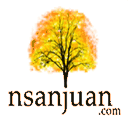 nsanjuan.com