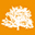 mailordertrees.co.uk