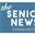 theseniornewsletter.com