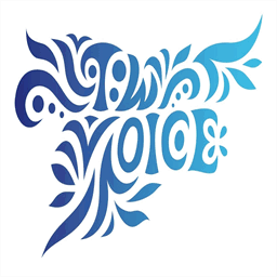 twice-voice.com