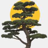 bpnoonan.com