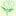 manolyacicekevi.com