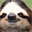 threetoedsloth.com