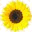 backyardfoodgrowing.com