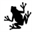 leapfrogcomputers.co.za