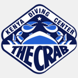 divingthecrab.com