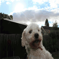 nice-wig-janis.tumblr.com