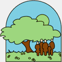 familleterrienne.org