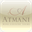 avantean.com