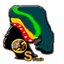 swacin.com