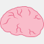 blogbrains.nl