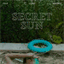 secretsun.bandcamp.com