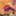 text-studio-it.de