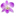 expressorchids.com