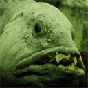 coprosurmazate.com