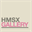hmsxgallery.com