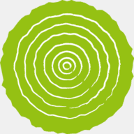 bostongeriatriccare.com