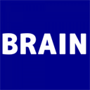 brain-nakamurakaikei.co.jp