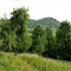 labelleferme.over-blog.com