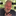 calgaryagent.com