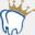 crownplazadentallab.com