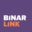binarlink.com