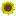 cajondelosgirasoles.blogspot.com