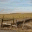 mothrasblog.wordpress.com