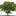 maplewise.com