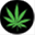 texas420.net