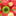 microbefoodmaven.com