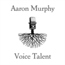 aaronmurphy.com