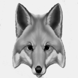 huntcountryhomes.com