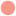 naomimurrell.com