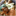 adcme2004.over-blog.com