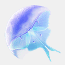 mothandmoonstudio.com
